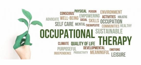 Occupational therapists